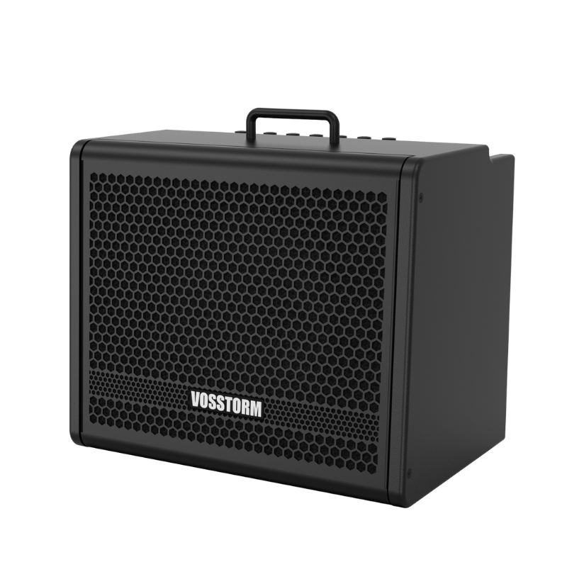 Amplificador Para Guitarra 10 Pol 40w Vosstorm Gx-10 [F108]