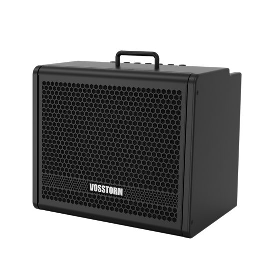 Amplificador Para Guitarra 10 Pol 40w Vosstorm Gx-10 [F108]