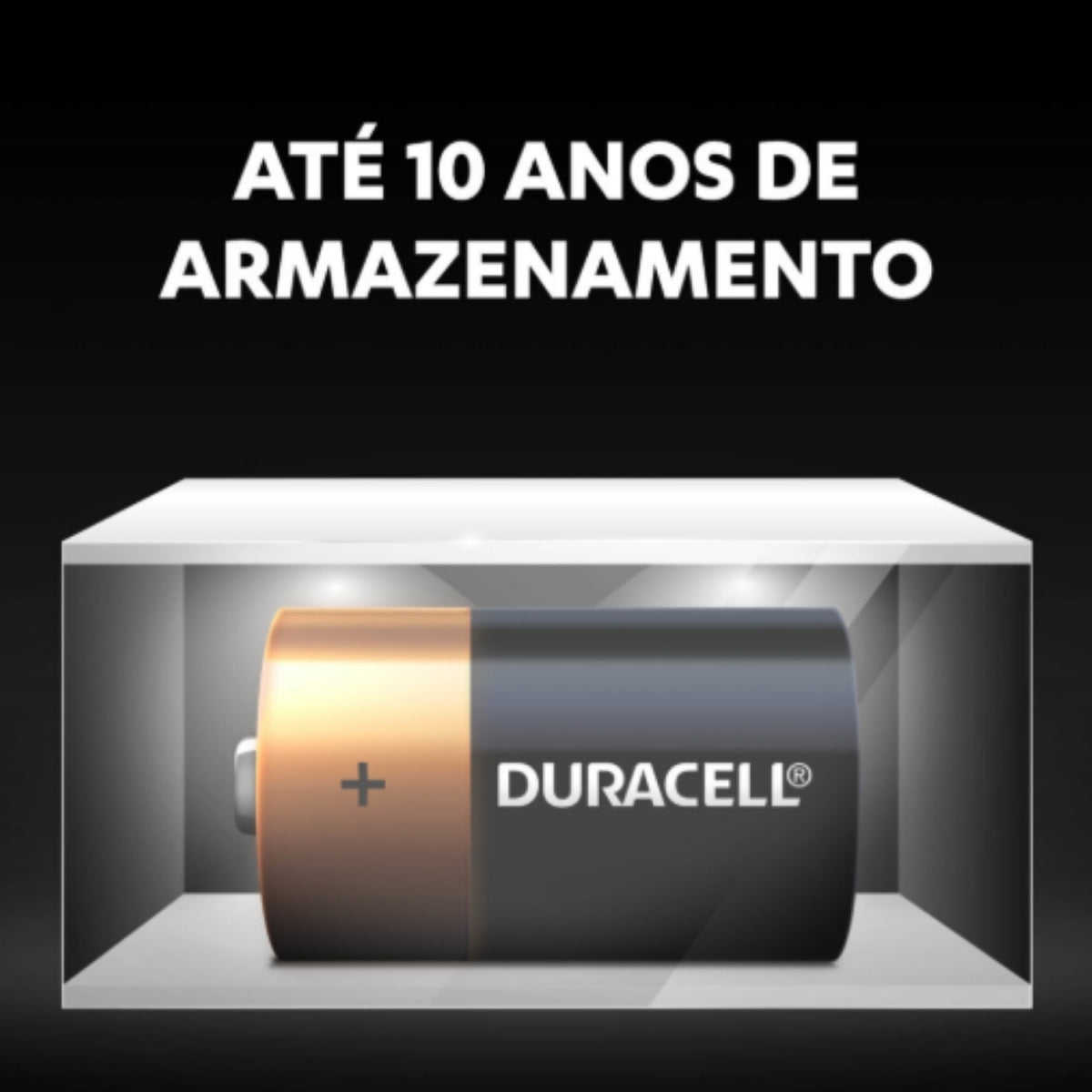 2 Pilhas Alcalinas C Duracell [F108]