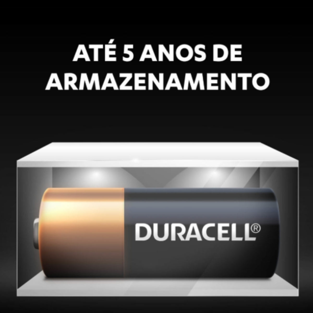 2 Pilhas Alcalinas A23 Mn21 12v Duracel [F108]