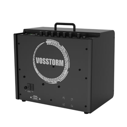 Amplificador Para Guitarra 10 Pol 40w Vosstorm Gx-10 [F108]