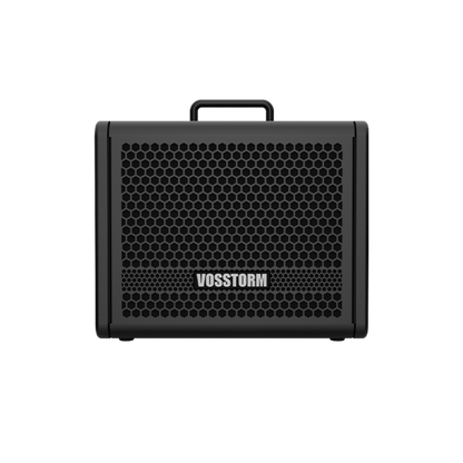 Amplificador Para Guitarra 8 Pol 25w Vosstorm Gx-8 [F108]