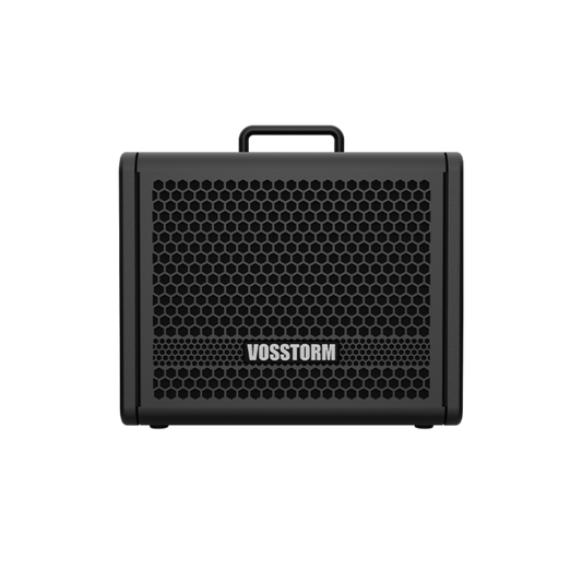 Amplificador Para Guitarra 8 Pol 25w Vosstorm Gx-8 [F108]