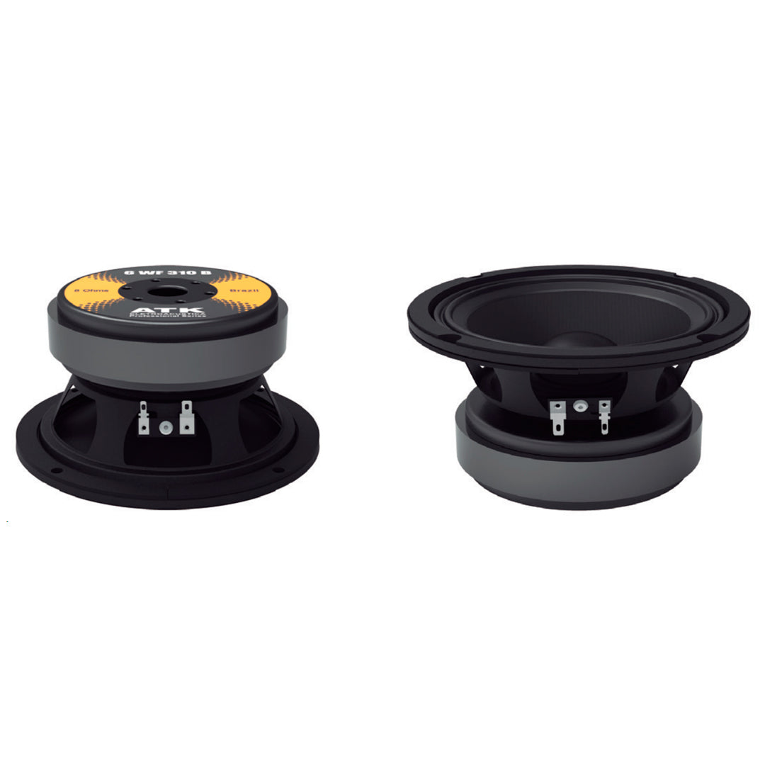 Alto-falante Profissional 150w 6 Pol 8 Ohms 6wf310b8 Atk [F108]