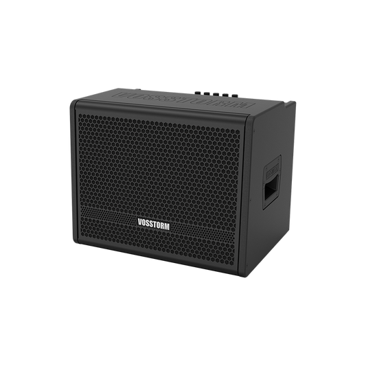 Amplificador Para Baixo 10 Pol 40w Vosstorm Bs-10 [F108]