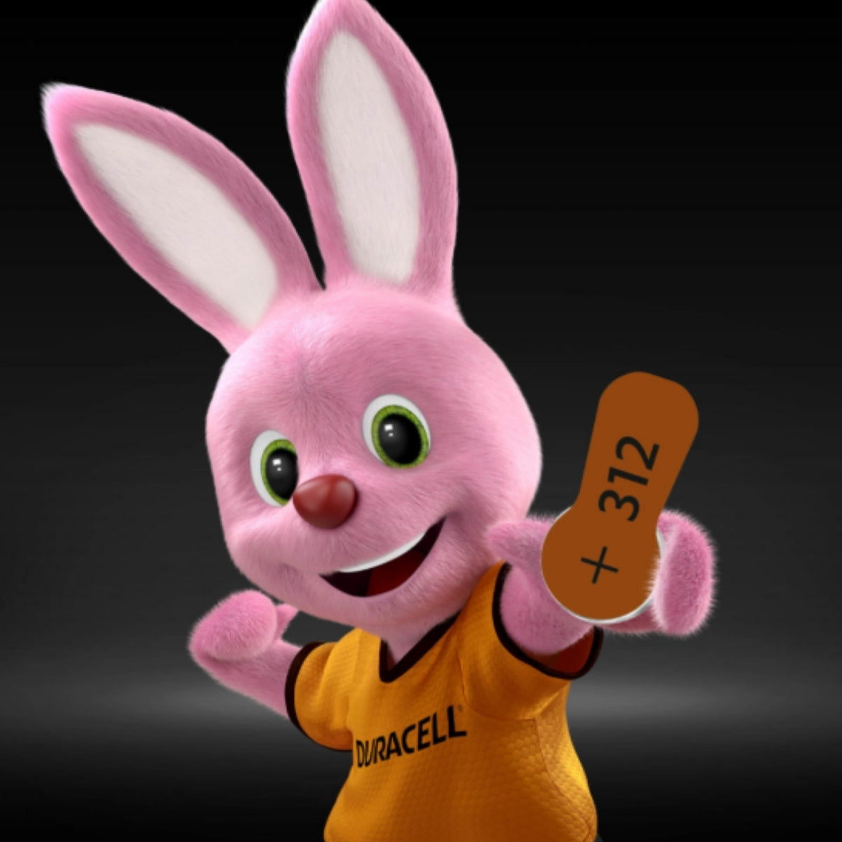 6 Baterias Auditivas 312 Duracell [F108]