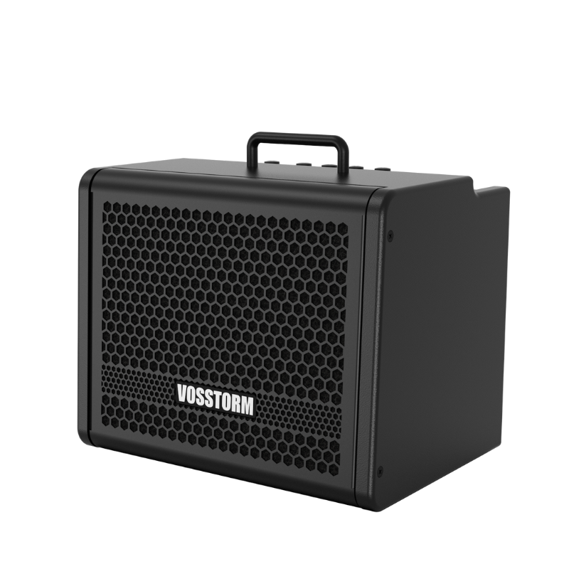 Amplificador Para Guitarra 8 Pol 25w Vosstorm Gx-8 [F108]