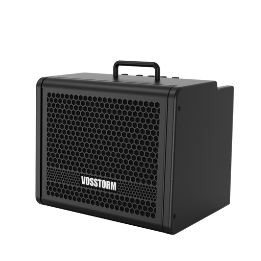 Amplificador Para Guitarra 8 Pol 25w Vosstorm Gx-8 [F108]