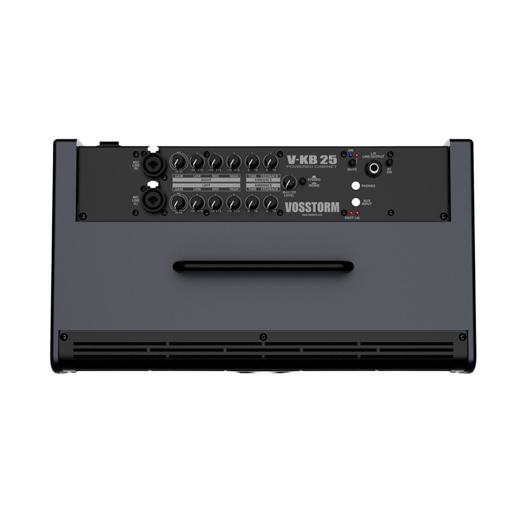 Monitor Amplificado Para Teclado Vosstorm V-kb 25 [F108]