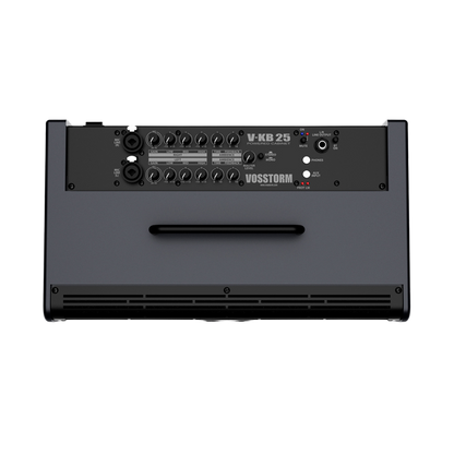 Monitor Amplificado Para Teclado Vosstorm V-kb 25 [F108]