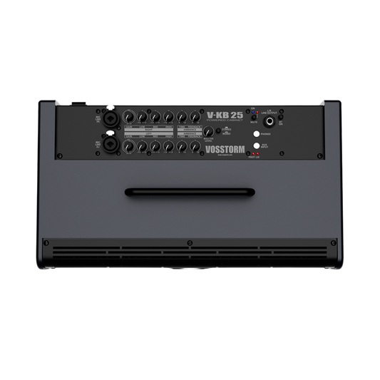 Monitor Amplificado Para Teclado Vosstorm V-kb 25 [F108]