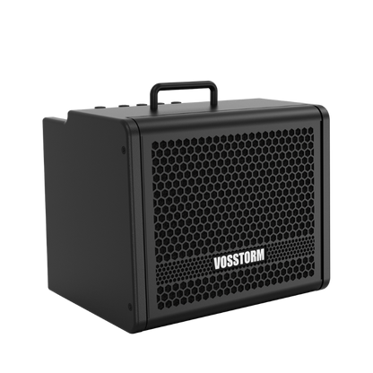 Amplificador Para Guitarra 8 Pol 25w Vosstorm Gx-8 [F108]