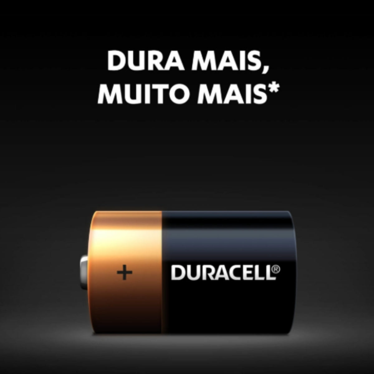 2 Pilhas Alcalinas C Duracell [F108]