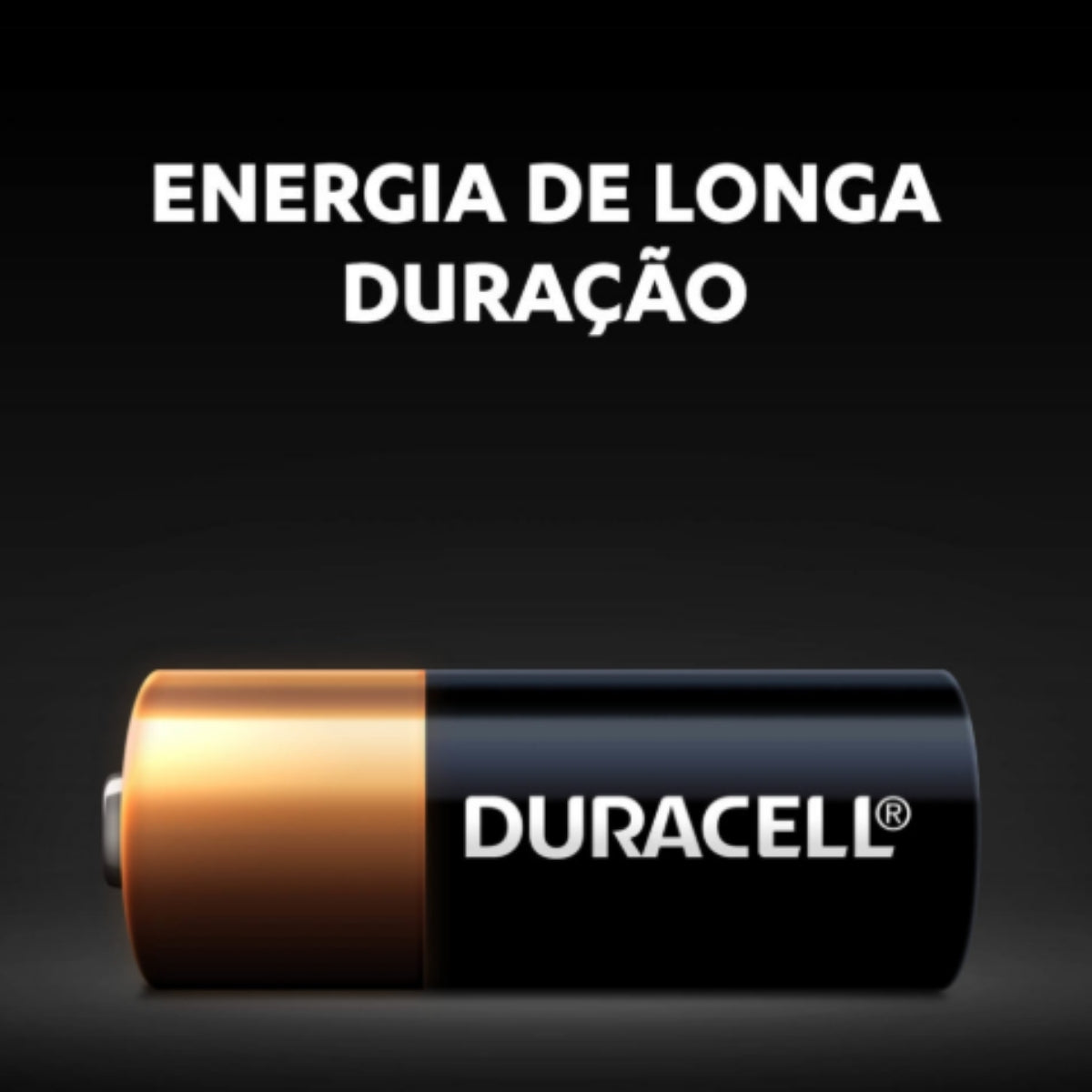 2 Pilhas Alcalinas A23 Mn21 12v Duracel [F108]