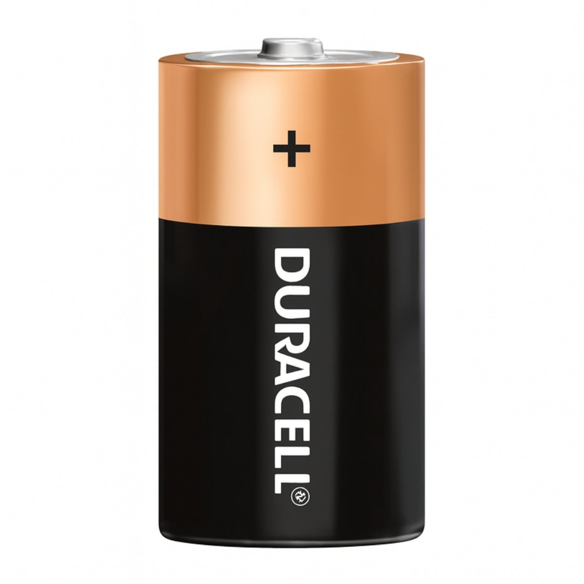 2 Pilhas Alcalinas D Duracell [F108]