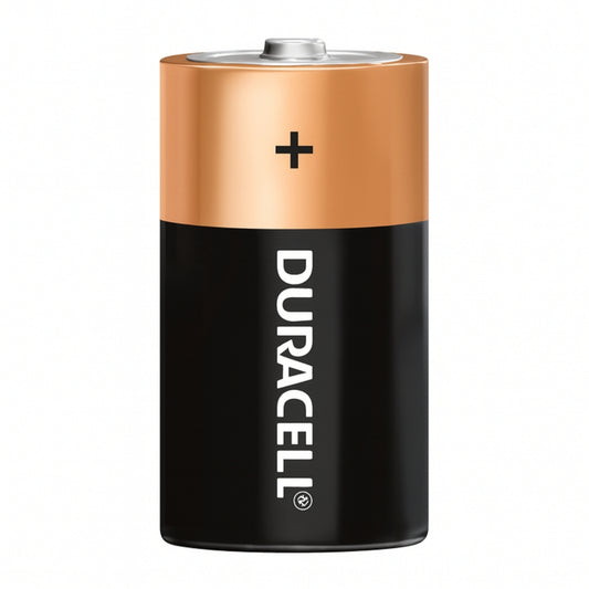 2 Pilhas Alcalinas D Duracell [F108]