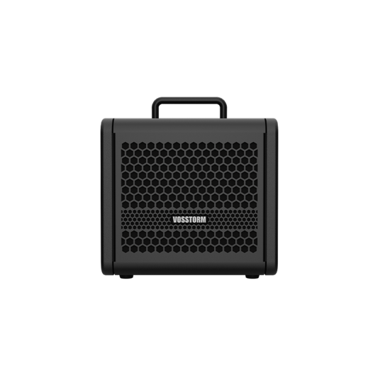 Amplificador Para Guitarra 6 Pol 15w Vosstorm Gx-6 [F108]