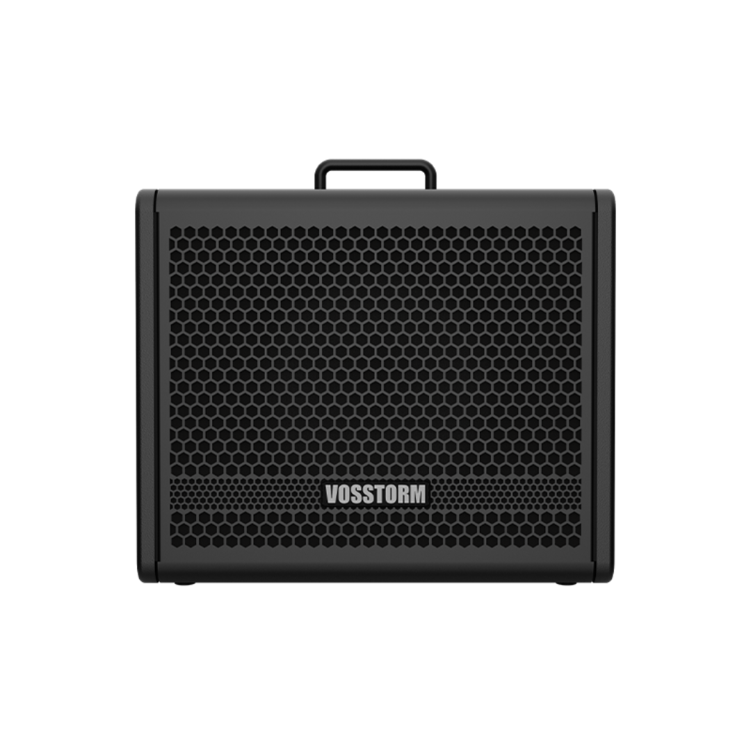 Amplificador Para Guitarra 10 Pol 40w Vosstorm Gx-10 [F108]