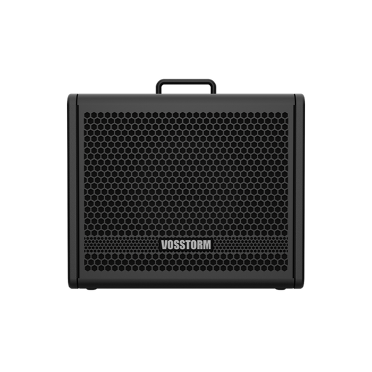 Amplificador Para Guitarra 10 Pol 40w Vosstorm Gx-10 [F108]