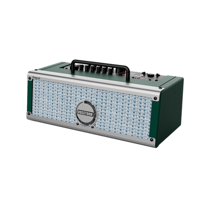 Amplificador Para Guitarra Vosstorm Swamp 23 [F108]