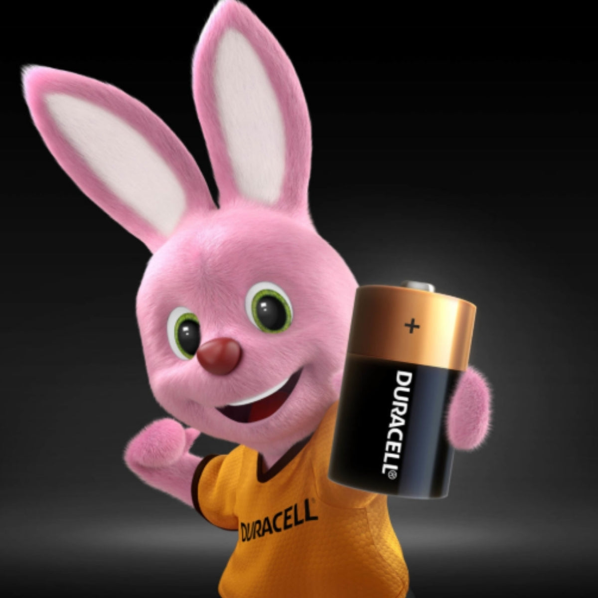 2 Pilhas Alcalinas C Duracell [F108]