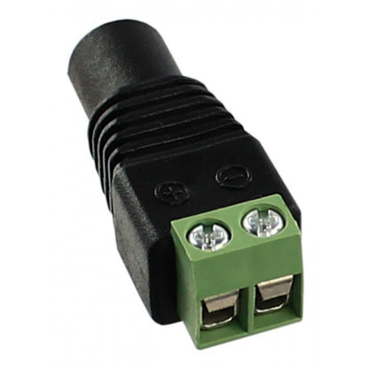 Jack P4 Com Borne Storm 10 Unidades [F108]